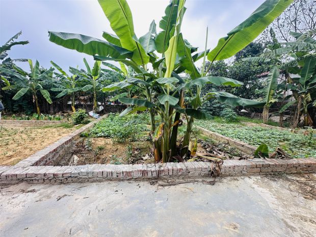 Tài chính nhú tỷ nhập khẩu thị trấn sóc sơn ô tô đỗ cửa. 7008431