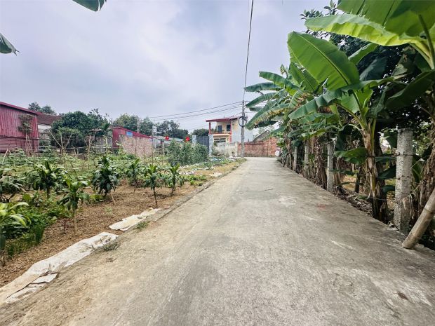 Tài chính nhú tỷ nhập khẩu thị trấn sóc sơn ô tô đỗ cửa. 7008432