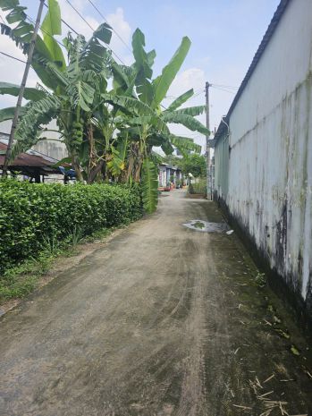 Cần bán 2 lô đất liền kề giá tốt  đường đỗ văn dậy, hóc môn 7009234