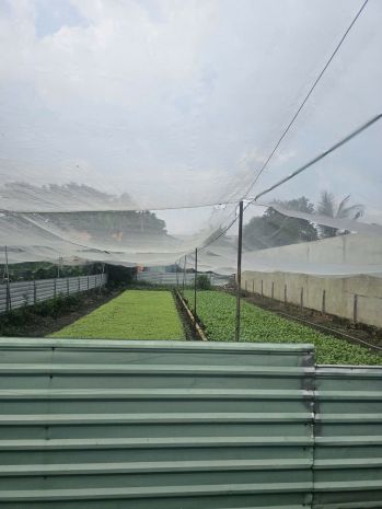 Cần bán 2 lô đất liền kề giá tốt  đường đỗ văn dậy, hóc môn 7009236