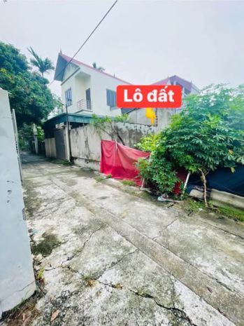 Muốn bán gấp 81.5m đất thanh phần _ phúc hoà _ phúc thọ. 7010036