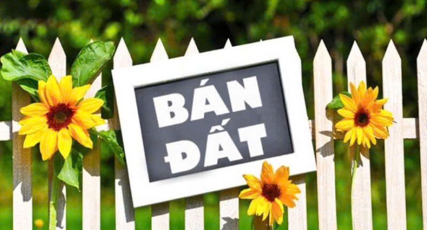 Chính chủ cần bán mảnh đất vuông vắn, đẹp tại ngõ 387 vũ 7010796