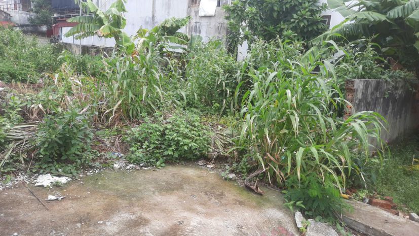 Giá hiếm trung tâm đồ sơn  chỉ 1.3x tỷ  zalo 0567 222 555 7011136