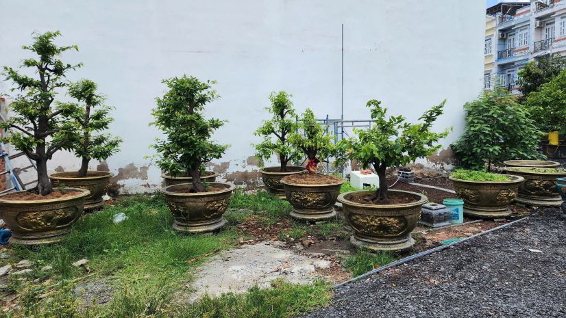 Đất 1.200m² quận 12  mặt tiền đẹp  giá đầu tư! 7011224