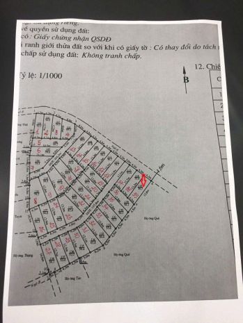 Giá hiếm 7xx triệu  lô đẹp bàng la đồ sơn  ngõ 4.2m 7011568