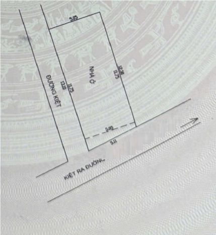 20m ra mặt tiền đỗ bá, góc 3 mặt thoáng, 65m2, ngang 5m, 7012544