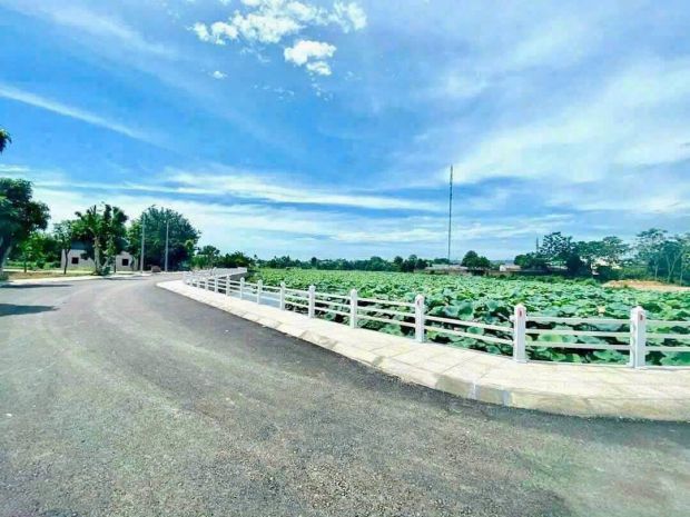 Bán đất thổ cư phú cát, quốc oai, hà nội, mặt tiền 5m, 7013545