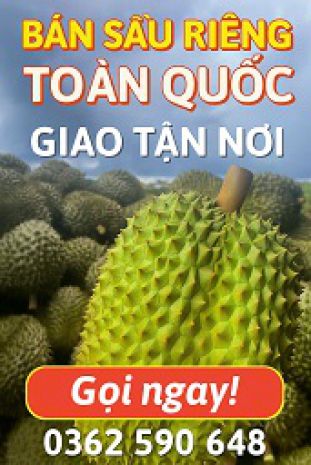 Bán sầu riêng toàn quốc ship tận nơi 7013738