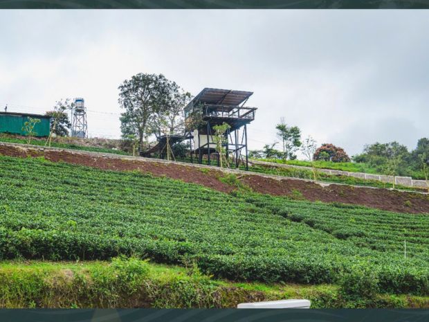 102m² full thổ cư  hạ tầng hoàn chỉnh  thanh khoản cao 7014053