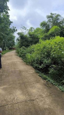 Cần bán 5 sào đất xã  phước an  hớn quản - bình phước 7014463