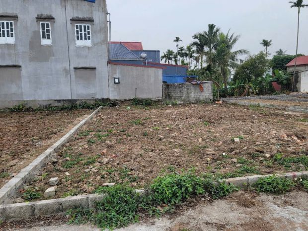 Lô rộng 12m  200m² giá chỉ 1.6x tỷ  thái lai tân phong 7014558