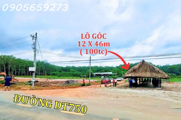 Cần bán gấp 650m2 15x42 có 300m2 thổ cư tại dt750 - long 7014780