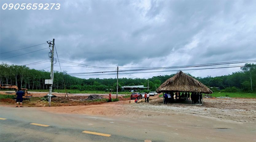 Cần bán gấp 650m2 15x42 có 300m2 thổ cư tại dt750 - long 7014784