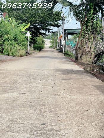 Cơ hội đầu tư: 2065m2 đất đồng nai, mt 37m khổng lồ, giá 2 7015174