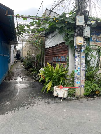 Bán dãy trọ siêu dòng tiền  an phú đông, quận 12 7016257