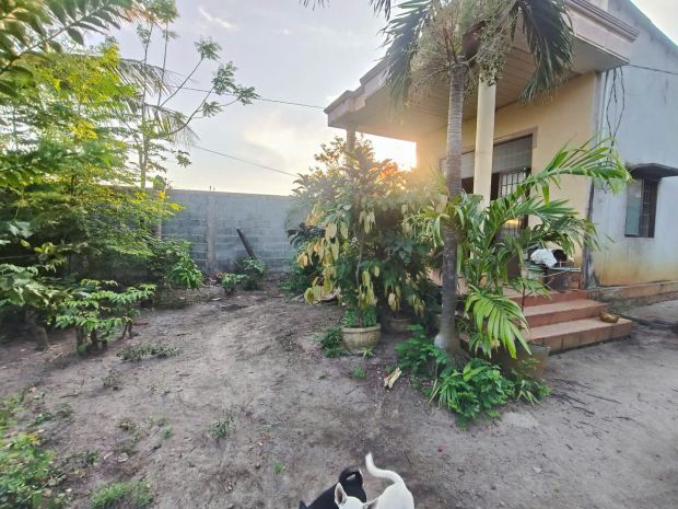 Chính chủ gửi bán đất ngay mỹ thuận-long mỹ-bà rịa phước 7016543