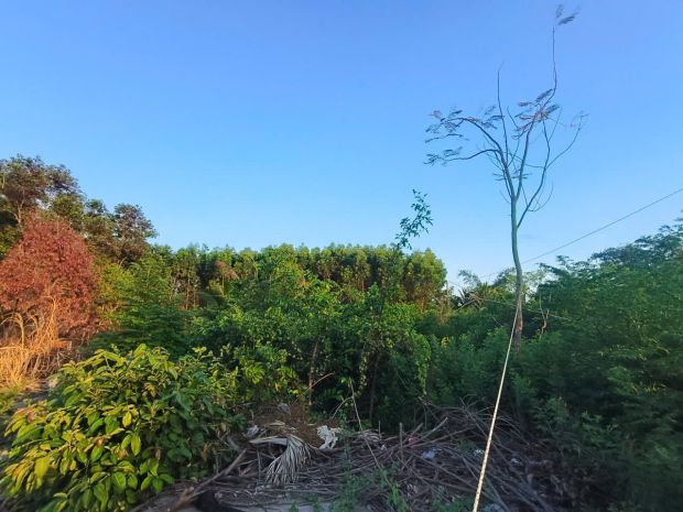 Chính chủ gửi bán đất ngay mỹ thuận-long mỹ-bà rịa phước 7016544