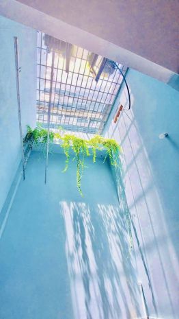 Bán nhà tân bình 80m2 2 tầng ngang 4m sát mt gấp bán cộng 7018097