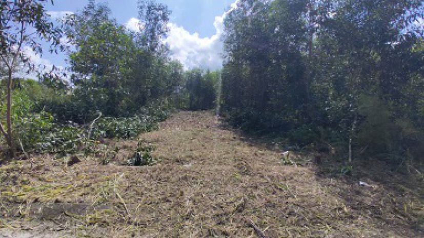 Bán lô đất phường tân phước  tx. phú mỹ, br-vt 7020344