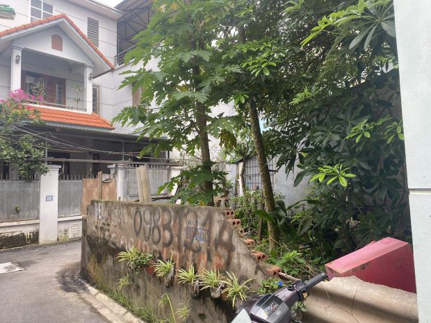 Bán gấp lô góc đẹp  trâu quỳ, giá chỉ 4.55 tỷ, lh 7020604