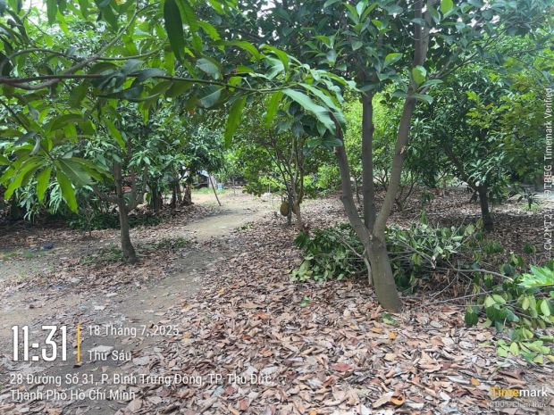 Bán gấp 2720m2  mặt tiền- nguyễn cửu phú, tân kiên - bình 7025746