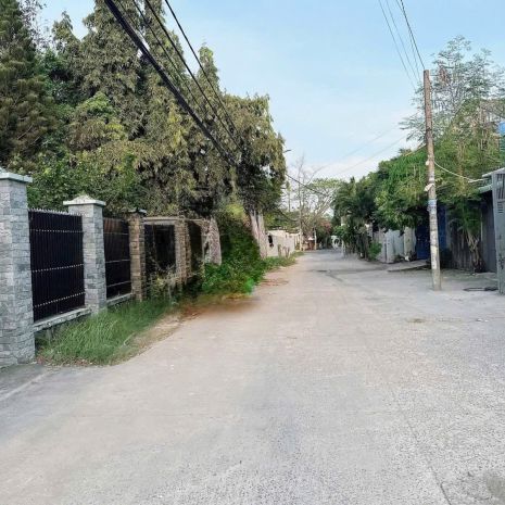 Hàng ngộp cực hiếm nhà vườn hơn 500m² giữa lòng tân xuân 7028858