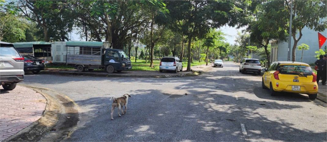 D400 bán rẻ lô đất đẹp khu dân cư đông đúc, khu vực trung 7029355