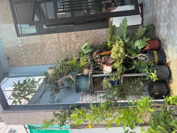 Hòn ngọc bình chiểu h3g lớn thông tứ tung 3pn 3wc 73m2 chỉ 4 7029654