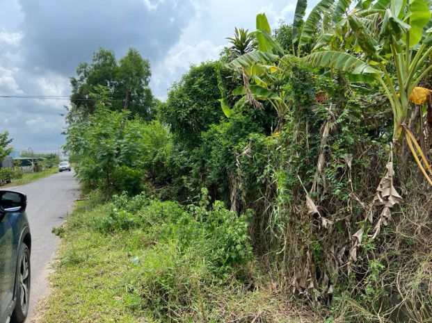 Siêu phẩm đất đẹp chính chủ - phù hợp cho mọi gia đình 7030669