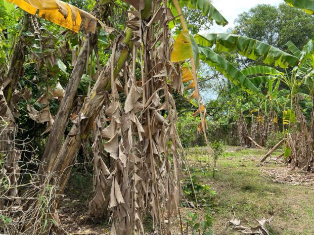 Siêu phẩm đất đẹp chính chủ - phù hợp cho mọi gia đình 7030670