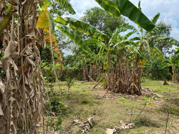 Siêu phẩm đất đẹp chính chủ - phù hợp cho mọi gia đình 7030671