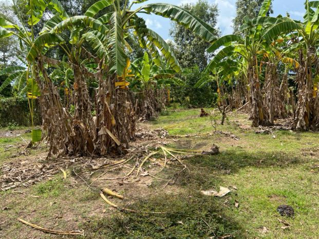 Siêu phẩm đất đẹp chính chủ - phù hợp cho mọi gia đình 7030673