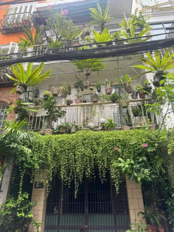 **bán nhà hxh trương công định** p14 tân bình 4,2*23, 2 7033604