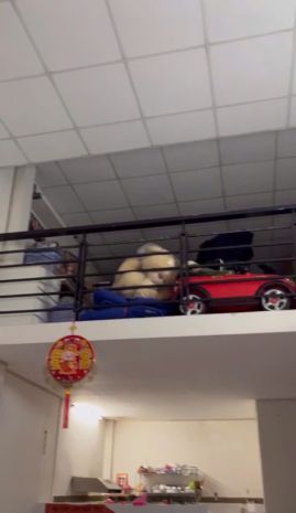 Bán nhà hẻm 6m đường số 3, phường bình hưng hòa, bình tân, 7033651