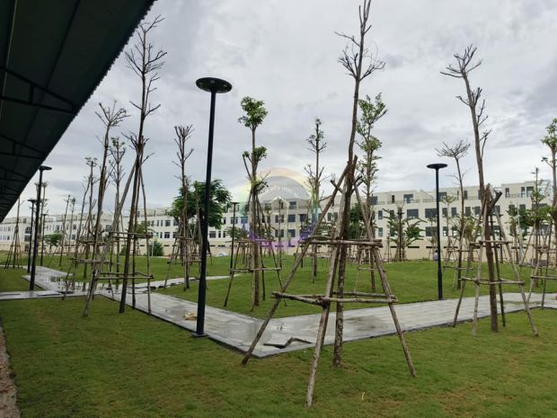 Bán đất dự án trả góp không lãi suất,đất đẹp ở mặt tiền 7036315