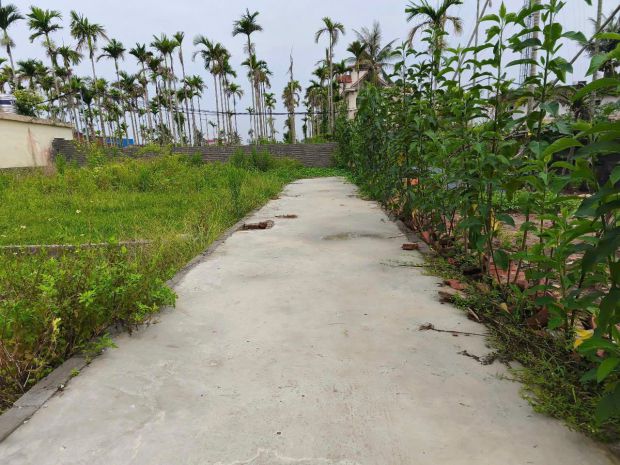 Lô nhỏ 44m² giá hiếm hoà nghĩa  gần đường 4 làn, thanh 7037422