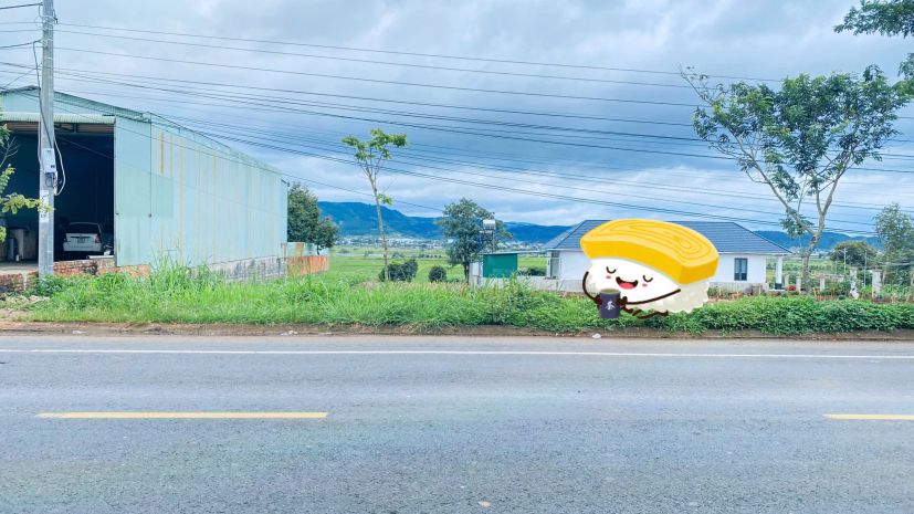 5m mặt tiền ql20, gần trung tâm đức trong, lâm đồng 7037998