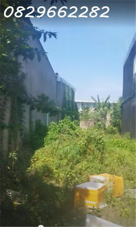 Bán gấp nền mặt tiền nguyễn sinh sắc, sa đéc, đồng tháp 7039582