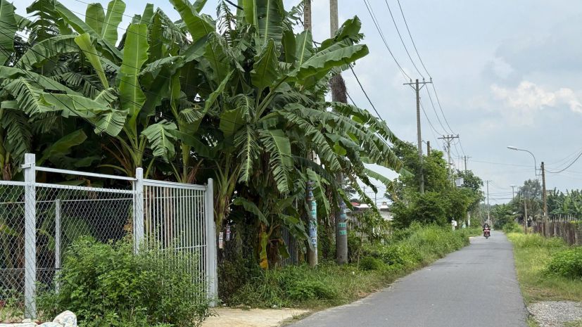 Chính chủ  bán đất mặt tiền xã tân thông hội ,củ chi , hồ 7042096