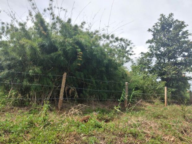 Chính chủ bán gấp lô đất ngộp tại ia rong , chư pưh , gia 7042770