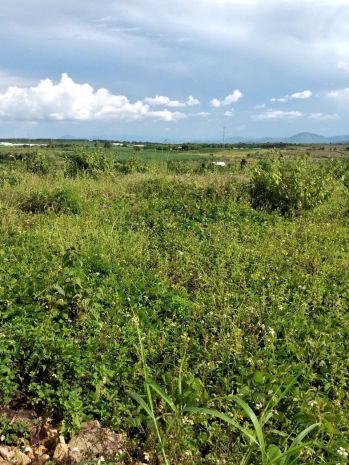 Chính chủ bán gấp lô đất ngộp tại ia rong , chư pưh , gia 7042771