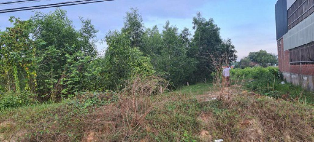 Bán đất mặt tiền tỉnh lộ 823  vị trí đẹp, gần trường học 7042867