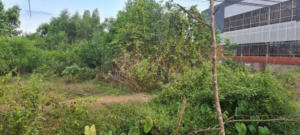 Bán đất mặt tiền tỉnh lộ 823  vị trí đẹp, gần trường học 7042868