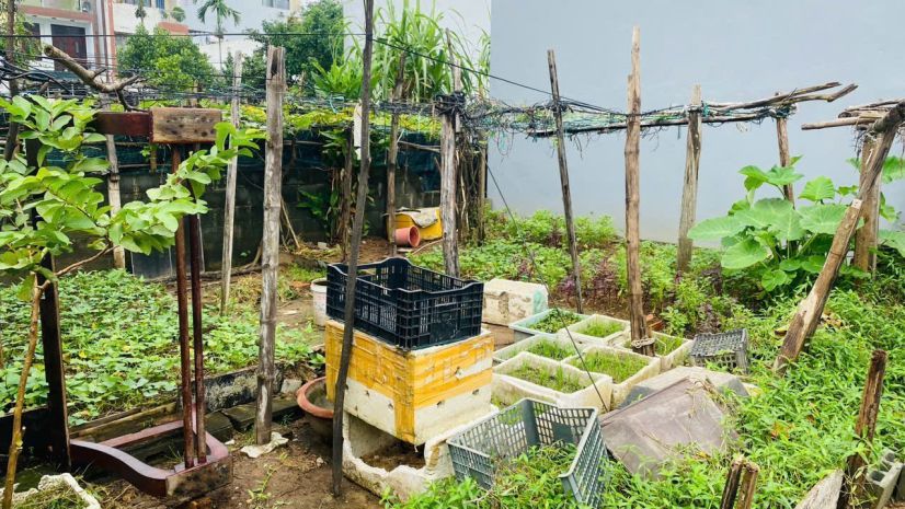 Bán lô góc sơn thủy 12 gần biển, 127.6m², vị trí đẹp hiếm, 7043155