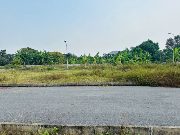 Cần bán gấp - lô đất 2 mặt tiền đẹp nhất khu vực cổ đông - 7044815