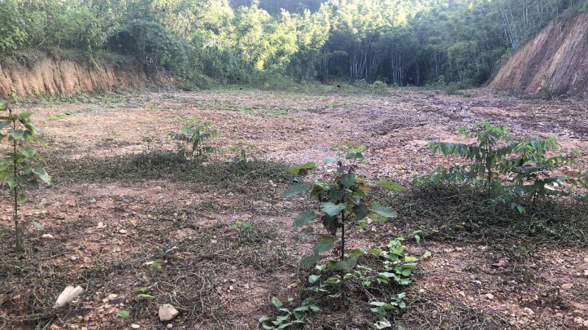 Siêu phẩm đất thổ cư tại trại lốt  tam tiến, yên thế, bắc 7045308