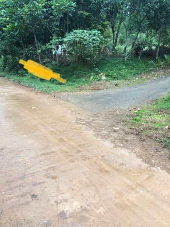 Bán đất tại bản đồng an  xã xuân lương  bắc ninh 7045492