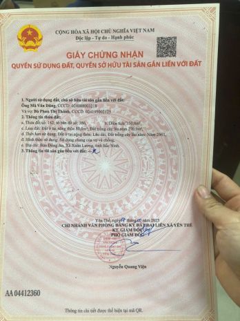 Bán đất tại bản đồng an  xã xuân lương  bắc ninh 7045494