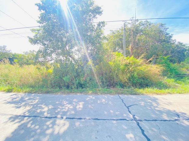 Bán 15m x 30m full thổ cư đường số 14 - tân xuân - hàm tân 7046091