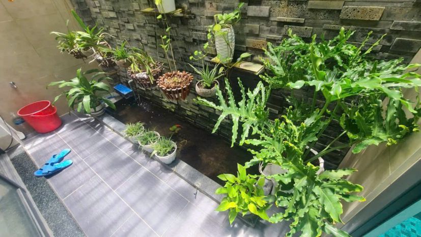 Cho thuê nhà mặt tiền kđt hà quang  phường phước hải- tp 7046625